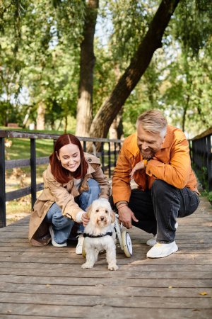 Adult couple tenderly petting a small dog during a leisurely walk in the park.