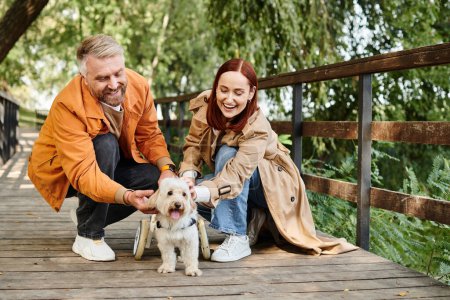 A man and woman in casual attire enjoy petting a dog on a bridge in a park.