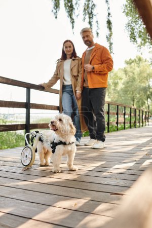 Un hombre y una mujer, en atuendo casual, de pie en un puente con un perro en una silla de ruedas.