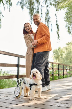 Pareja adulta en traje casual de pie en un puente de madera con un perro.