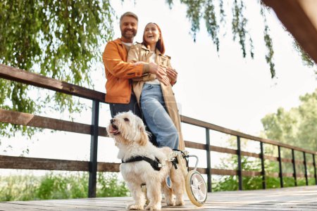 An adult loving couple in casual attire, one in a wheelchair, enjoying a walk with their dog in the park.