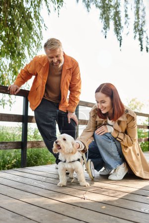 Adult couple in casual attire, enjoying a peaceful moment while petting a small, happy dog in the park.