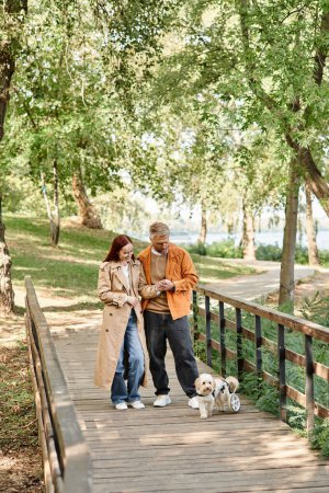 Couple walking dog on peaceful bridge in park.