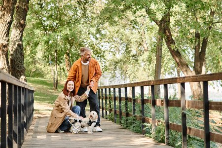 A man and woman walk their two dogs across a scenic bridge in the park.