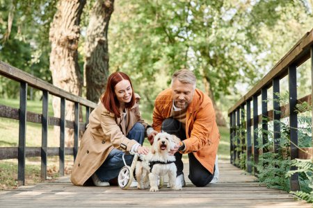 Un hombre y una mujer se arrodillan con dos perros en un parque.