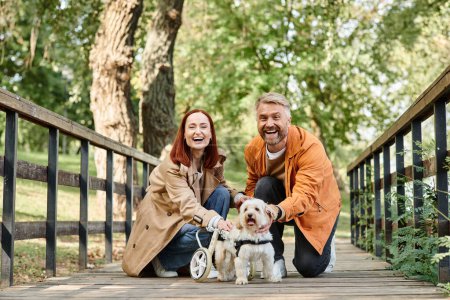 Téléchargez les photos : Un homme et une femme agenouillés avec deux chiens dans un parc. - en image libre de droit