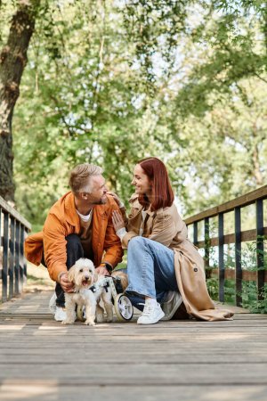 A loving couple relaxes with their dogs on a picturesque bridge in the park.