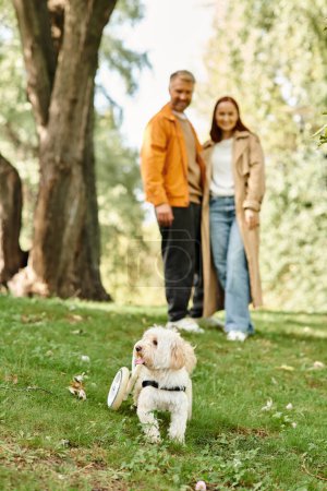 Téléchargez les photos : Un homme et une femme se tiennent debout dans l'herbe, collant avec leur chien. - en image libre de droit