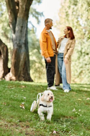 Téléchargez les photos : Couple adulte en tenue décontractée debout avec leur chien blanc. - en image libre de droit