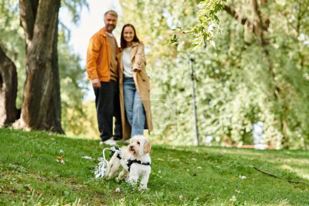 An adult couple in casual attire walks their dog in a lush park.