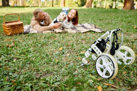 Photo for A man and woman lay in the grass with a stroller in a peaceful park setting. - Royalty Free Image