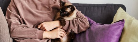 Téléchargez les photos : Une femme aux cheveux courts s'assoit sur un canapé, tenant son chat, partageant un moment paisible à la maison. - en image libre de droit