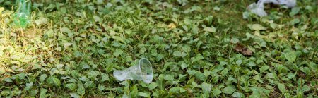 Foto de Plastic cups lying on vibrant green grass. - Imagen libre de derechos