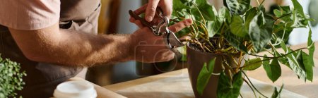 A man in a plant shop carefully cuts up a plant with scissors, focusing on shaping its growth.