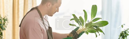 Photo for A man tenderly holds a potted plant in front of a window, bathed in soft natural light. - Royalty Free Image