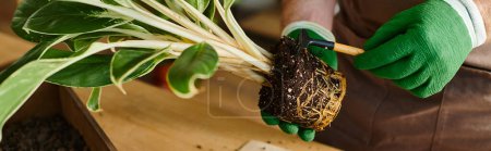 Téléchargez les photos : Une personne en gants verts tient délicatement une plante dans un cadre botanique serein. - en image libre de droit
