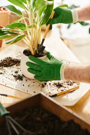 Foto de Hombre con guantes verdes con cuidado tiende a una planta en maceta en un entorno encantador tienda de plantas. - Imagen libre de derechos