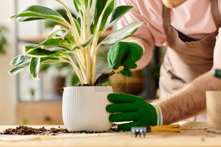 A person in green gloves carefully plants a green and vibrant plant in a pot at a plant shop owned by a man.