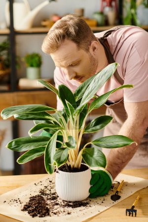 A handsome man in a pink shirt is focused on admiring a potted plant in a small plant shop, showcasing the own business concept.