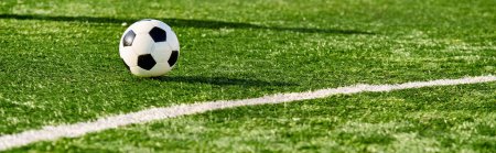 Ein lebendiger Fußballball ruht friedlich auf einem unberührten und sattgrünen Feld und ruft die Ruhe vor einem lebhaften Spiel hervor. Das üppige Gras umgibt den Ball und schafft eine beruhigende und malerische Szene.