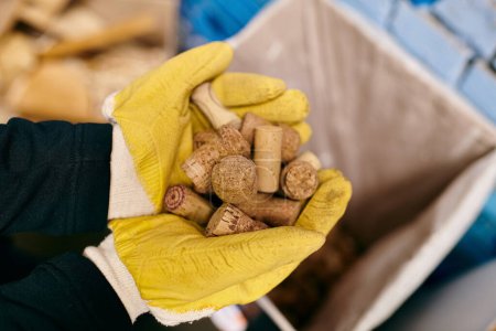 A young volunteer wearing gloves holding a bunch of wine corks.