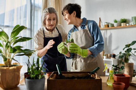 Téléchargez les photos : Deux femmes, un couple lesbien mature et aimant, travaillent harmonieusement dans un jardin. - en image libre de droit