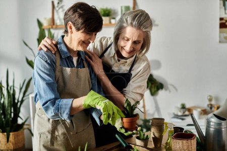 Téléchargez les photos : Two older women, a loving mature lesbian couple, working together in the garden. - en image libre de droit