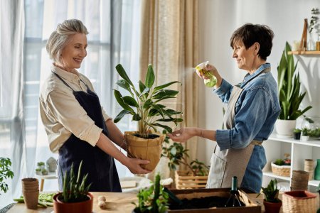 Photo for Two women in aprons caring for a potted plant. - Royalty Free Image