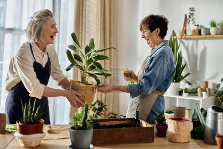 Two elderly women planting in kitchen