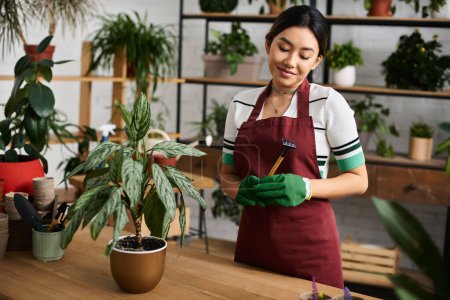 An Asian woman wearing an apron and gloves carefully examines a plant in her shop, ready to give it the best care.