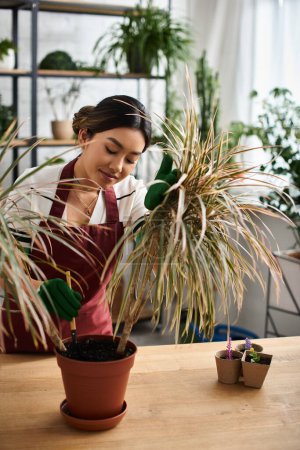 Eine schöne Asiatin in Schürze pflegt eine Topfpflanze in ihrem Gewächshaus.