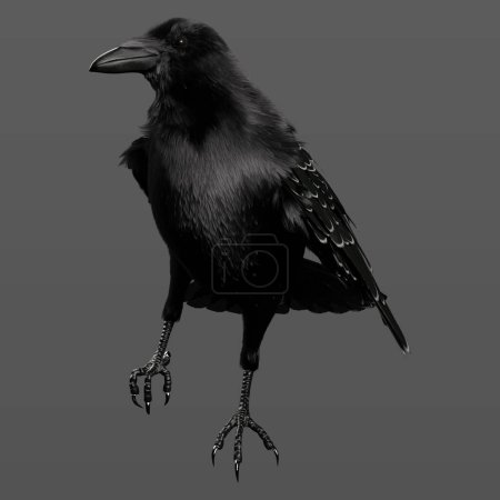 Illustration de rendu 3D du magnifique corbeau corbeau noir assis et perché isolé