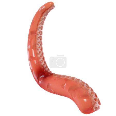 Photo for 3D Rendering of Underwater Fantasy Creature Octopus Tentacle Isolated on White Background - Royalty Free Image