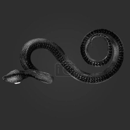 Photo for 3D Rendering Illustration of Gorgeous Dark Black and White Snake Serpent Scales in Angry Pose Isolated on Dark Background - Royalty Free Image