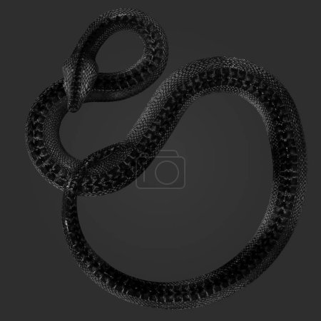 3D Rendering Illustration of Gorgeous Dark Black and White Snake Serpent Scales in Angry Pose Isolated on Dark Background