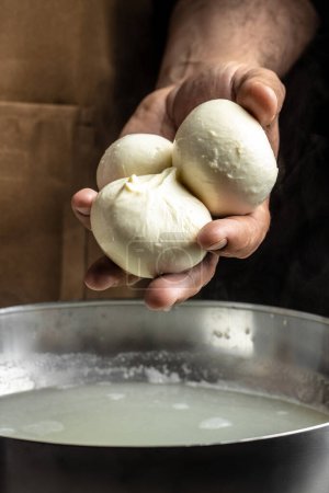 Photo for A man working in a small family creamery is processing the final steps of making a cheese. Italian hard cheese silano or caciocavallo, mozzarella. - Royalty Free Image