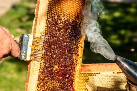 Photo for A tool of the beekeeper to work with bees. Smoker, cutting wax lids with hot fork from honeycomb for honey extraction, honeycomb concept, - Royalty Free Image