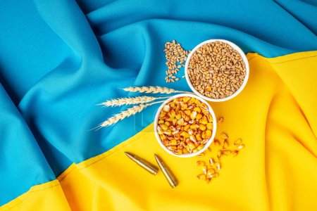 Grains of corn and wheat on the blue and yellow flag of Ukraine. The whitest exporter of food in Europe, the world crisis due to the war,