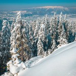 Majestic winter landscape with snow covered pine trees and forest on the mountain ridge. Piatra Craiului mountains view from Poiana Brasov ski resort, Carpathians, Romania, Europe