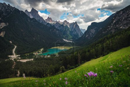 Photo for Alpine summer scenery with amazing flowery hills. Toblacher see lake and green forest with green fields, Dolomites, Italy Europe - Royalty Free Image