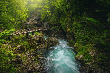 Holzsteg in der tiefen Vintgar-Schlucht. Atemberaubende Landschaft mit sauberem Gebirgsfluss im grünen Wald, Bled, Slowenien, Europa