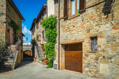 Stunning street view and orderly old stone houses decorated with green ornamental plants, Monticchiello, Tuscany, Italy, Europe