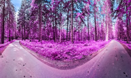 Téléchargez les photos : Beau panorama infrarouge rose et violet d'un paysage de campagne avec un ciel bleu. - en image libre de droit