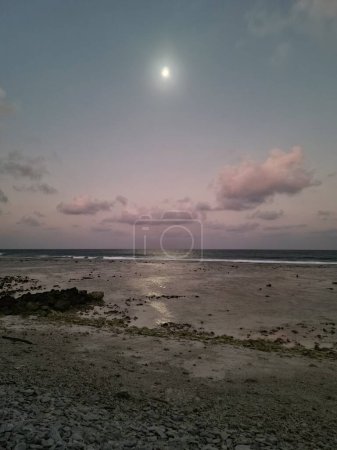 Téléchargez les photos : Vue sur la plage des Maldives au clair de lune par une nuit presque sans nuages - en image libre de droit