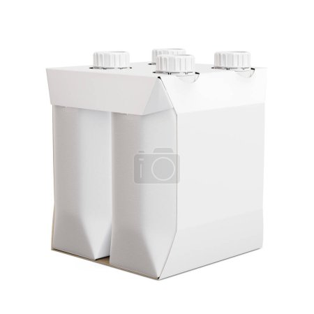 Foto de Una imagen de un transportador de cartón con 4 paquetes de jugo aislados sobre un fondo blanco - Imagen libre de derechos