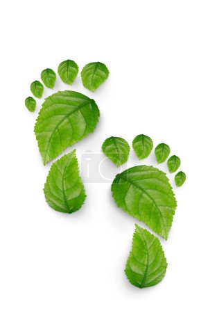 Photo for Green leaf growing footprints, co2 symbol isolated on White Background. Reduce CO2 emission concept.Clean and friendly environment without carbon dioxide emissions. - Royalty Free Image