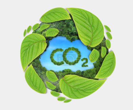 Téléchargez les photos : Feuilles vertes empreintes de plus en plus, symbole de CO2. Réduire le concept d'émissions de CO2.Environnement propre et convivial sans émissions de dioxyde de carbone. - en image libre de droit