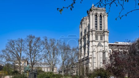 Photo for Paris, Notre-Dame cathedral and typical facades on the ile de la Cite - Royalty Free Image