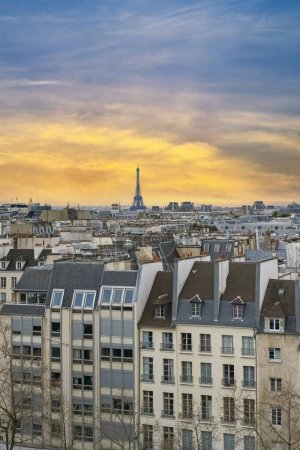 Photo for Paris, typical roofs in the Marais, aerial view with the Eiffel tower, sunset - Royalty Free Image