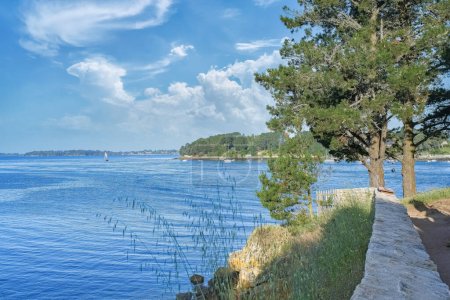 Photo for Brittany, view of the Morbihan gulf, the Ile aux Moines, in spring - Royalty Free Image
